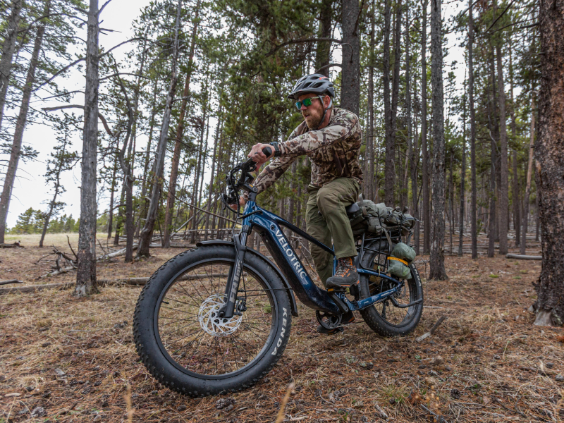 Velotric E-bikes